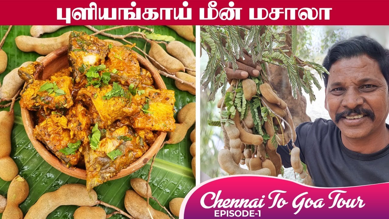 CHENNAI TO GOA TOUR EPISODE -1|புளியங்காய் மீன் மசாலா |Tamarind Fish Gravy| புளியங்காய் மீன் குழம்பு