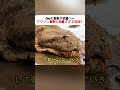 10mの巨体が絶望へ… アマゾン乾季の過酷すぎる現実! #アマゾン #自然環境 #野生の世界 #動物ドキュメンタリー #環境変化