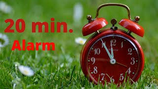 20 Minutes Bill Alarm - 1200 Seconds - Countdown Timer and Alarm