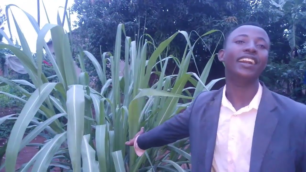 IBYIZA BYIGISHEKE Byahinduye paster  KBOY TV 