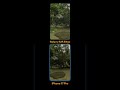 S25 Edge vs 17 Pro Max: Camera test