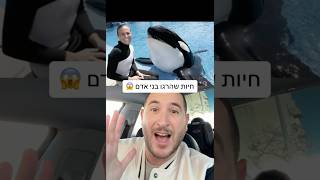 הליויתן הזה הרג את המאמנת שלו 😱🐋