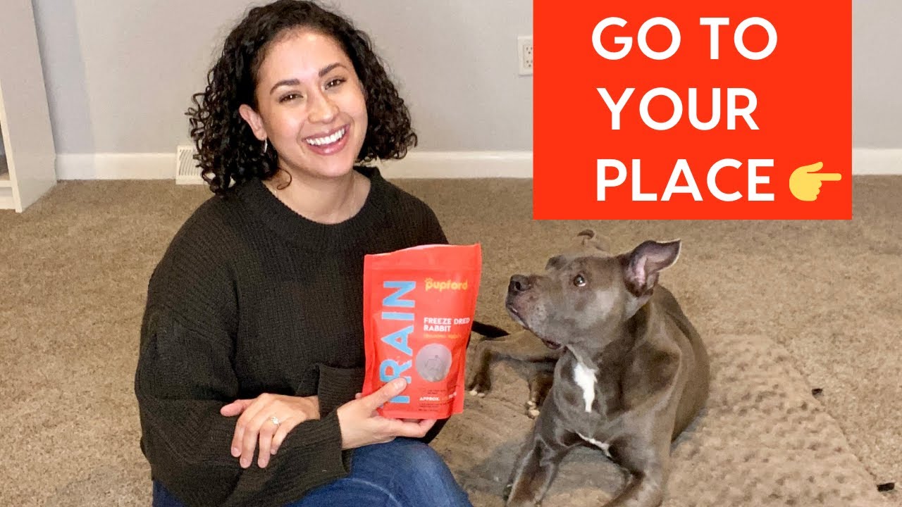Teach Dog to Go to Place or Mat YouTube