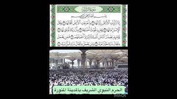 سورة الزلزلة قراءة الشيخ عبدالمحسن القاسم