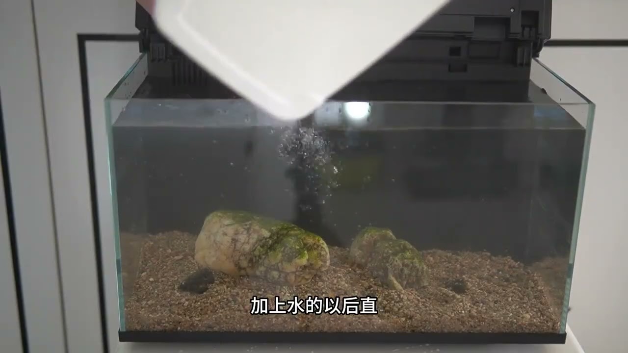 用尼特利智能魚缸開缸 用尼特利智能魚缸開缸#水族 #水草缸 #水草造景 #溪流缸