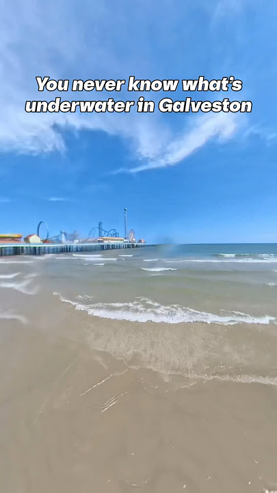 You Never Know What’s Underwater in Galveston | #galveston #galvestontexas #fishing