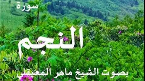 سورة النجم بصوت الشيخ / ماهر المعيقلي 53