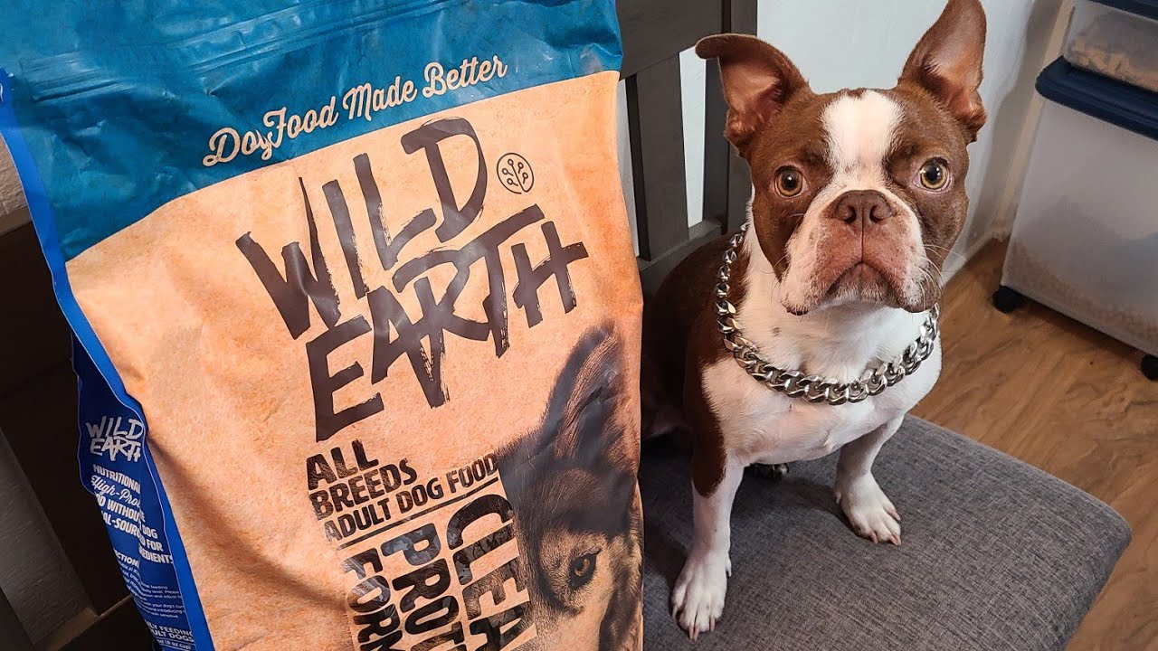 WILD EARTH DOG FOOD REVIEW - YouTube