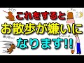 【犬 しつけ 散歩】散歩嫌いな犬の克服法!!遠藤エマチャンネル【犬のしつけ＠横浜】