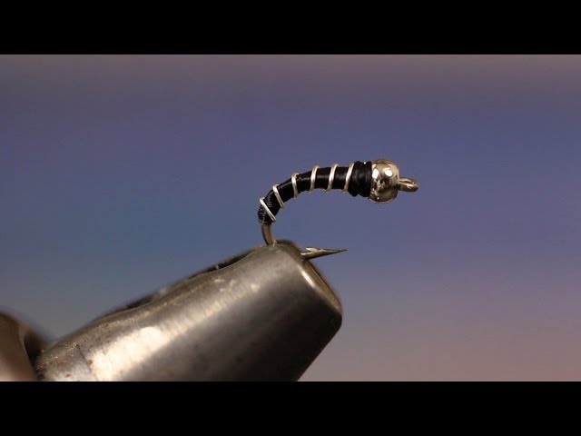 Zebra Midge 