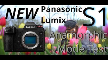 NEW Panasonic S1 Anamorphic Mode Test Footage