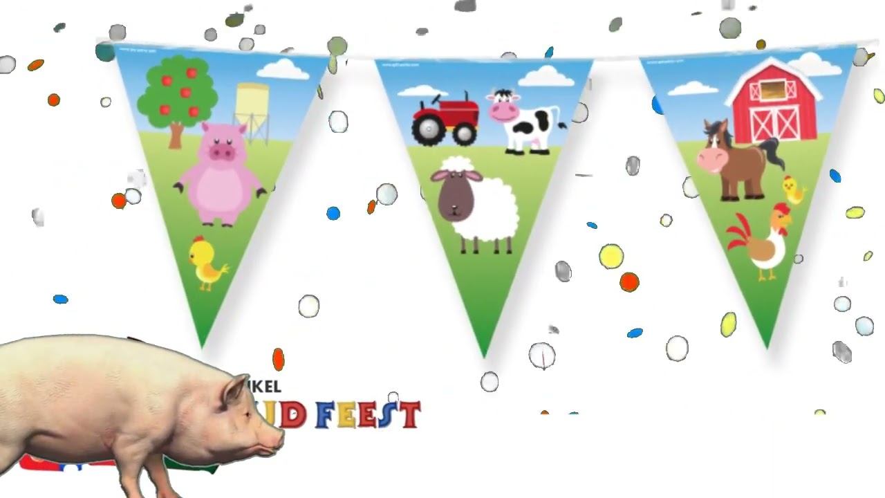 Boerderij feest | Feestwinkel Altijd Feest