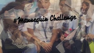 mannequin Challenge valor