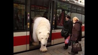 Visit Russia to find your love (real traveling instead of online dating)
