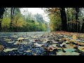 Bruit De La Pluie pour Dormir Profondément Et Se Relaxer.