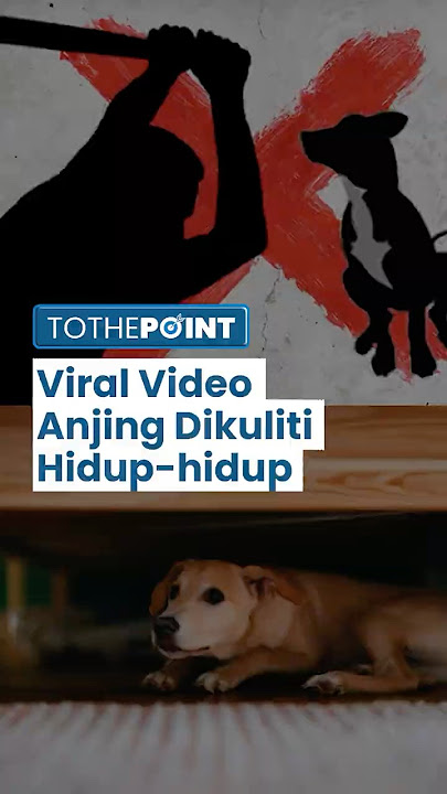 Viral Video Anjing Dikuliti Hidup-hidup, Kapolres Sragen Dalami Unsur Pidana, Usut Siapa Pelakunya?