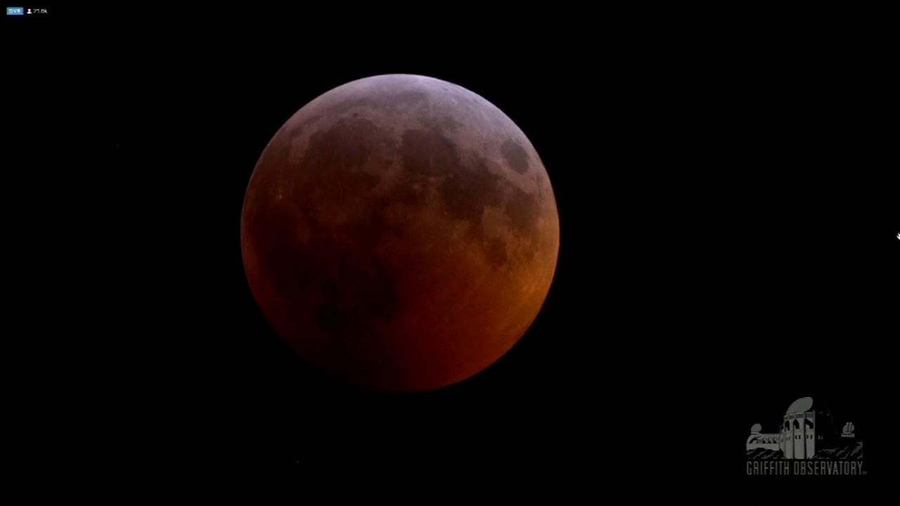 Super blood wolf moon 2019: Watch a close-up video of the lunar eclipse