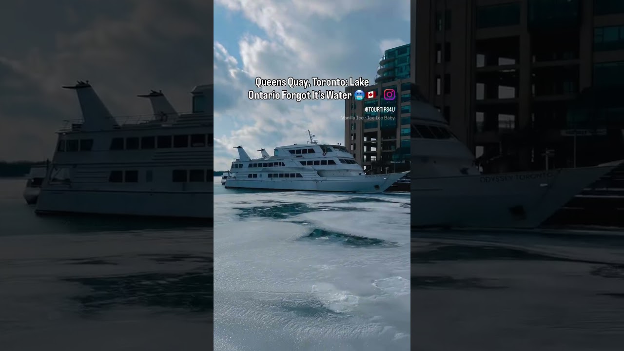 Queens Quay, Toronto: Lake Ontario Forgot It’s Water| Toronto, Ontario, Canada 🇨🇦 