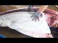GIANT BLUEFIN TUNA CUTTING SHOW