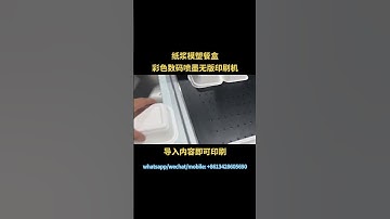 Pulp molding lunch box fruit box color digital plateless printing machine