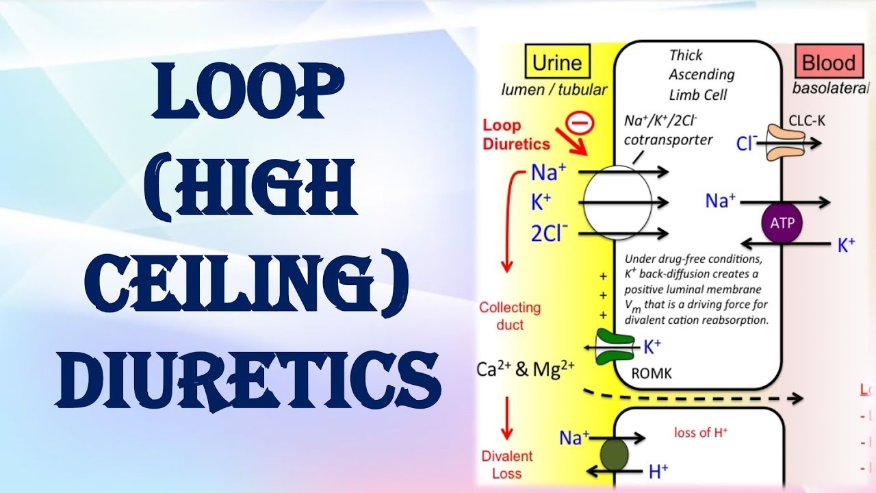 Loop Diuretics High Ceiling Diuretics