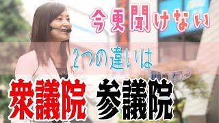 今さら聞けない参議院・衆議院「2つの違いは?」