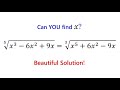 This Radical Equation Looks Impossible. Can You Solve it?
