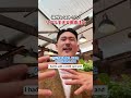 リアルすぎる英語注文⁉️… #shorts #オーストラリア #英会話 #海外留学 #ワーホリ #英語学習 #留学 #発音