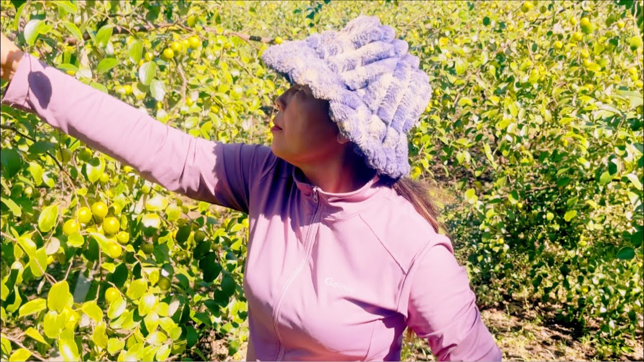 ទៅបេះពុទ្រាលក់ Go help my mother-in-law to sell it to the customers.@SokleangFamilylife