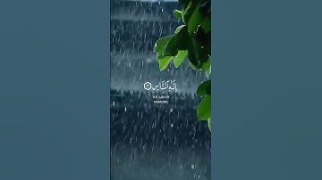 قل أعوذ برب الناس ☝🏼🍂🔊 القاريء #ياسر_الدوسري #quran #قران_كريم #تلاوة_خاشعة #اكسبلور