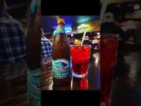 SEMINOLE HARD ROCK HOLLYWOOD FLORIDA #hardrockcasino