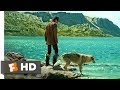 Alpha (2018) - Back to the Pack Scene (6/10) | Movieclips