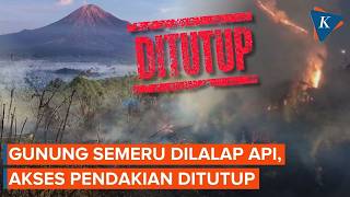 Mount Semeru Fire, Hiking Trails Closed