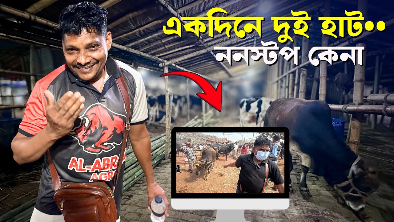 একদিনে সিটি হাট থেকে গাবতলি! 😳 একের পর এক গরু কেনা আকরাম ভাই | Bangladesh Cattle Market