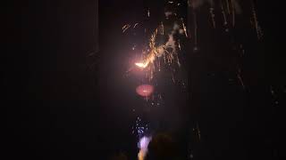 IMG 8185