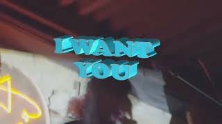 Fractal Caravan - Know Whatcha Want (feat. Numasbala) Music Video