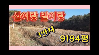 여주강산부동산 여주토지및 전원주택지(여주시 흥천면)