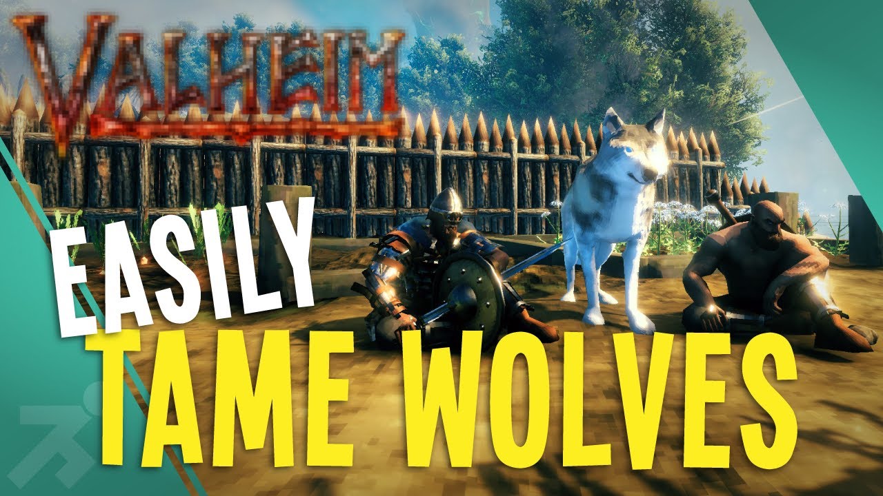 How to TAME Wolves EASY! // Beginners Guide // Valheim Tutorials YouTube