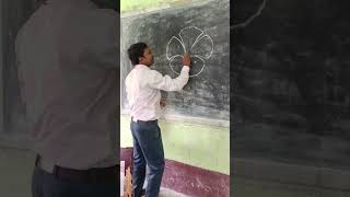 Joba ful drawing || Hibiscus flower 🌺#flower#shorts#art#viral#youtubeshorts