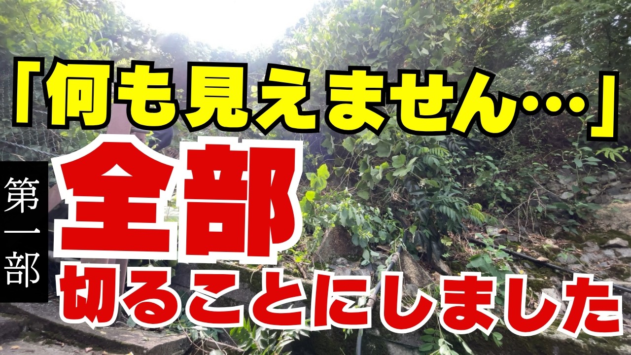 Man vs. Wild Nature: Reclaiming a Steep Slope from Kudzu & Wasps