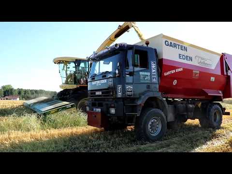 Ganzpflanzensilage mit Agrotrucks