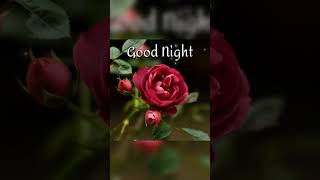 Good night God bless you all /good night everyone #shorts #short #music