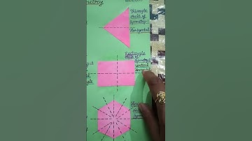 Symmetry Math Project shorts#shorts#short video