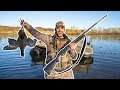 FLOODED Farm COOT Duck Hunting Challenge (CATCH CLEAN COOK)