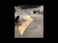 Blue macaw   sidewalk chalk art time lapse  trish michael fine art