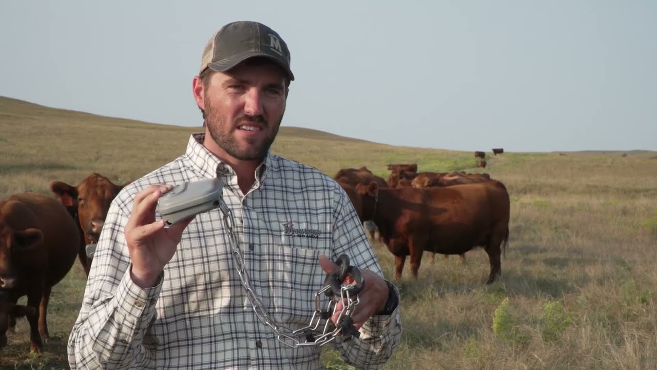 Virtual Fencing as a Climate Adaption Strategy