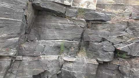 Stop 1 N Parry Sound Trail Geologic mapping