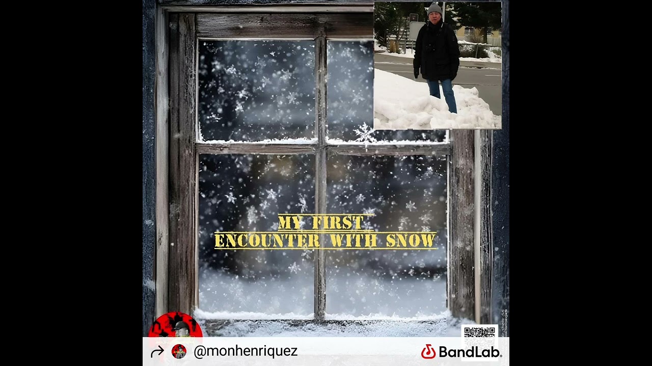 MY FIRST ENCOUNTER WITH SNOW (Platzspitz Park, Zurich) - an acoustic folk-rock original (