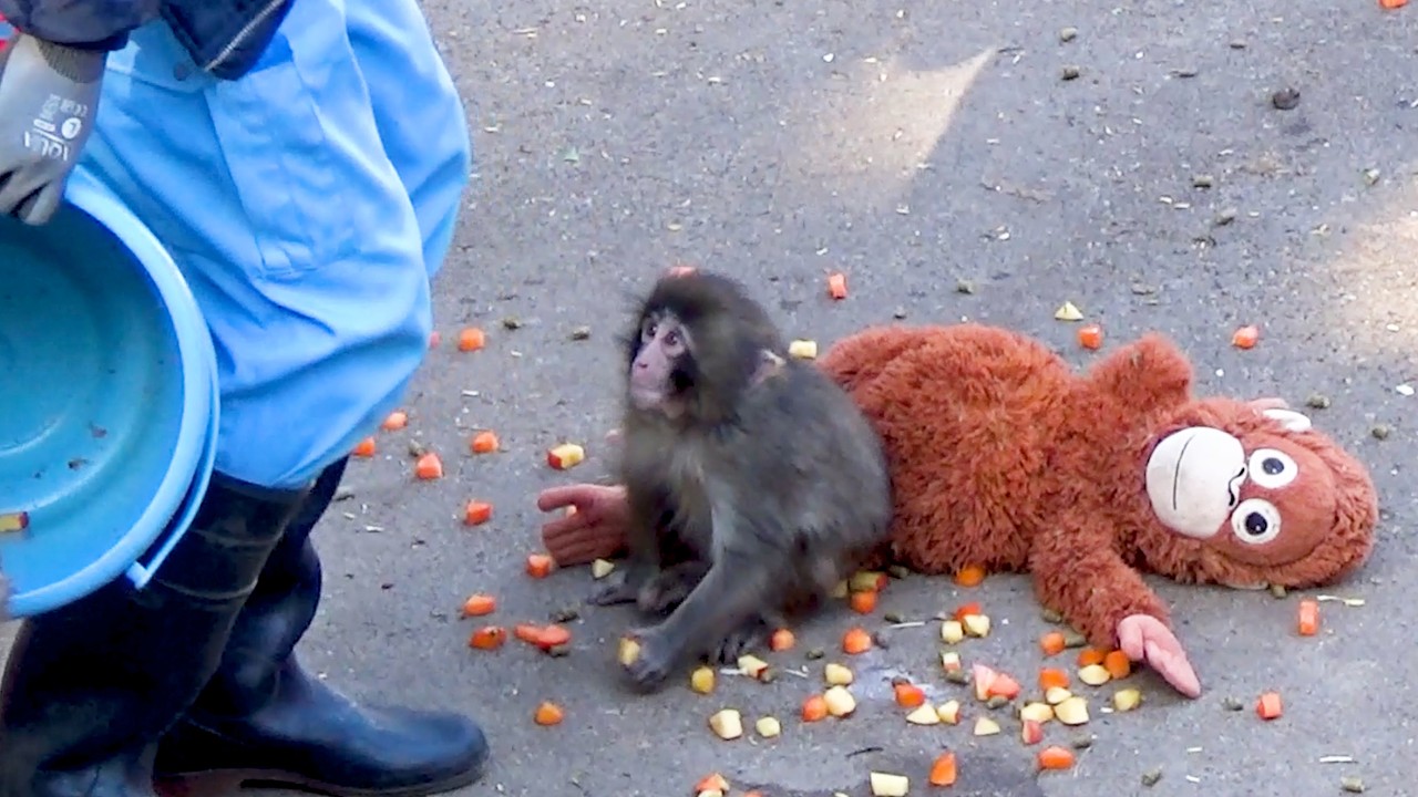 “Go to Mom, okay?” But Punch didn’t hesitate at all