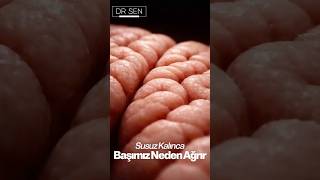 Susuz kalınca Başınız Neden Ağrır ? #başağrısı #beyin #beyincerrahisi #shorts